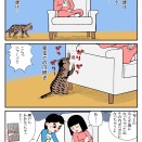 地上8階の地域猫 ニャーの話 #15 ニャーの癒し効果