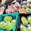 【悲報】ぶどう「なんでみんなボクを食べなくなったの？」