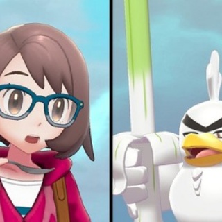 ポケモンの面白い縛りプレイなんかある？