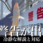 blue tetristの釣りノート