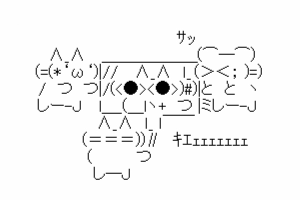 これくしょん キチガイ