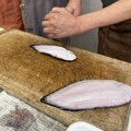 珍しい魚