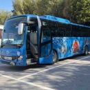 今年の冬は沖縄へ 2