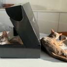 【PR】水に浮いてるような浮遊感が心地よい「ヒツジのいらない枕」ー極柔ー