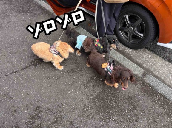 ２ヶ月に一度。