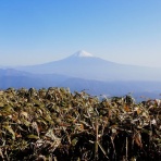 山のにほひ、磯のかほり