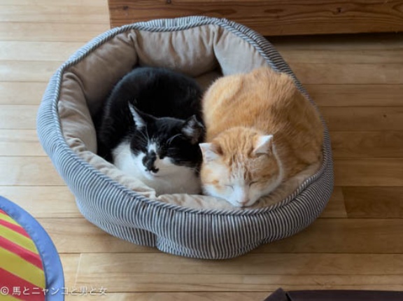 バリューセット