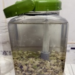 Beach Field　いいかげん日記帳Ⅲ