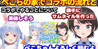 【ホロライブ】スバルがぺこらの家でオフコラボを取り付ける流れと、コラボでやることについて