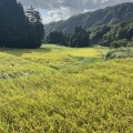 �����Ȱ��桢�����Ʋ����ʼ�Ż�����ޤ줿2����