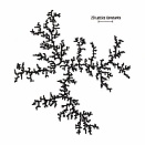 ［#2792]（#368）  高分子-ミクロの”形”［対称性のある形・らせん状の形、偶然的に形成される形］（3）偶然的に形成される構造（1）it-PMMA微粒子凝集体の構造（その3）フラクタルの考え方