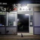 猫ちゃん、じゃぁねぇ～👋