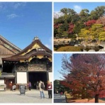 シェビーズのブログ