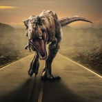 埼玉県東松山市高坂駅前・気功つばめ整体院