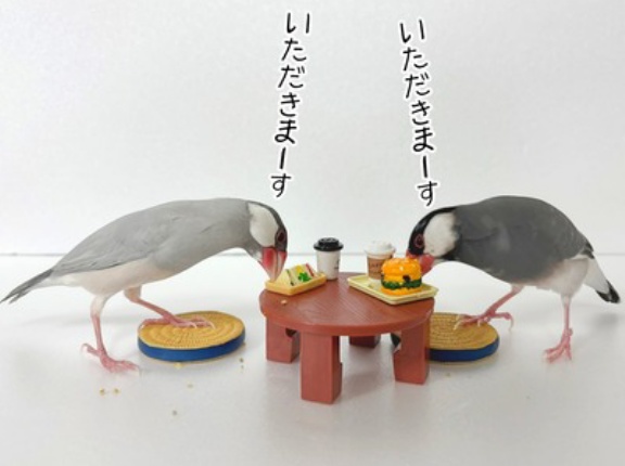 ランチはハンバーガーとサンドウィッチ