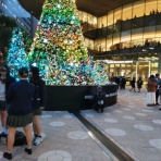 ラテンに包まれて！