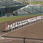 香川県住みますランナー『フランク翔太』が行く