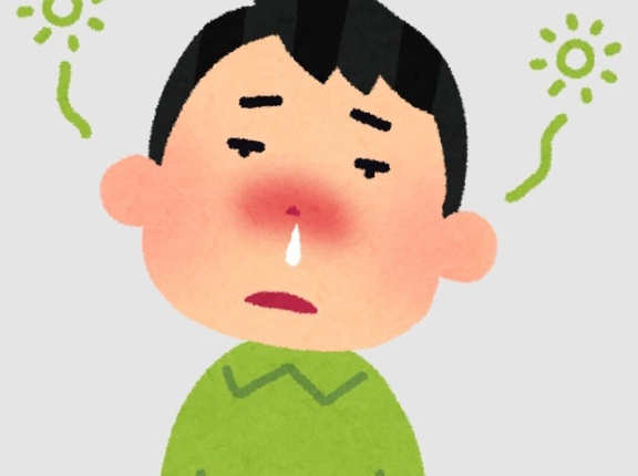 も、もしかして、花粉か…！？