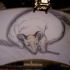 『奈良の正月2020②　2020/01/05』の画像