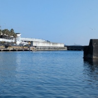 2025年11月27日(木)早川漁港釣り