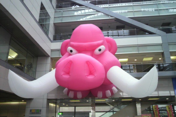 休日の過ごし方 愛車はソラーラ マンモスフリーマーケット