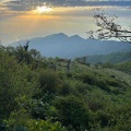 山