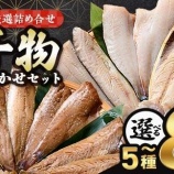 『ふるさと特産品 佐々木商店旬の干物5～8種以上おまかせセット』の画像