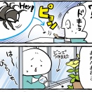 おうち大好き蜘蛛