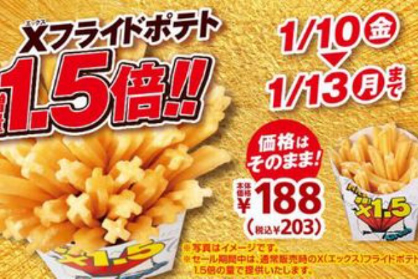 お得お得ドットコム Com Xフライドポテト