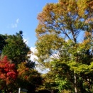 ２０２５年１１月３日（月）広沢寺トップロープクライミング講習会