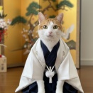 新成人おめでとう