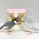 無意識で助け合っているふたり