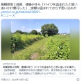 少年4人組、バイクを盗んだとして高校生を車で追いかけ殴り殺す→勘違いでした