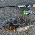 快釣の何とかなるさ