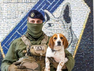 フランス陸軍第132陸軍犬大隊が新たな取り組みを開始…新犬種にビーグル犬を採用！