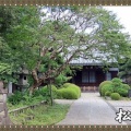 板橋十景・松月院