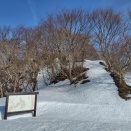 小木ノ城跡(相田からピストン)