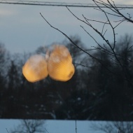 【レ・クリント】まさにチューリップ！花束の光が美しい♪♪