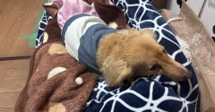 撮れ高ゼロなのー。