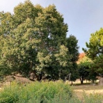 守口・門真つーしん