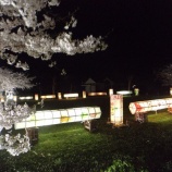 『【真野新町】真野公園桜祭りと 真野新町通り佐渡土人形展』の画像