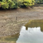 社会人奮闘日誌《東海地方編》