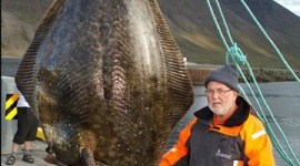 知ってた？　実は名ばかりの日本の食材たち