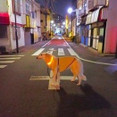 短い散歩で勘弁してもらう