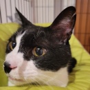 男・モン吉🐒預かりさん家へ➁