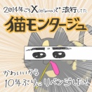 猫モンタージュが楽しすぎて一日が終わる