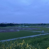『6月29日(土) グラウンド利用について』の画像