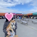石狩の朝市に行ってきました。