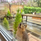 暗闇で芝刈りをする男・・・😩😩😩