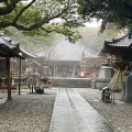 7日目　2025年3月11日（火）雨